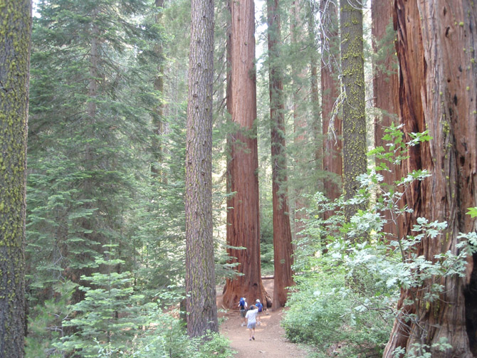 C-Yosemite&around03