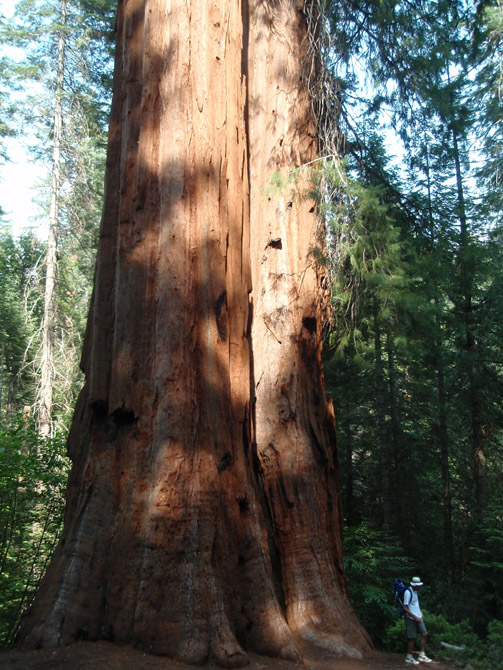 C-Yosemite&around05
