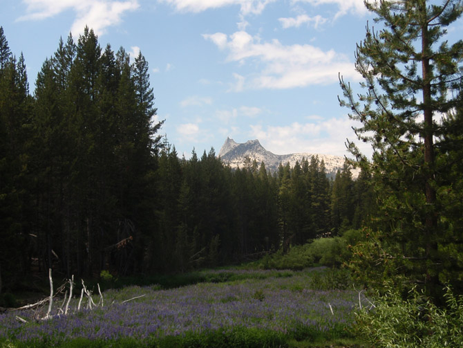 C-Yosemite&around44
