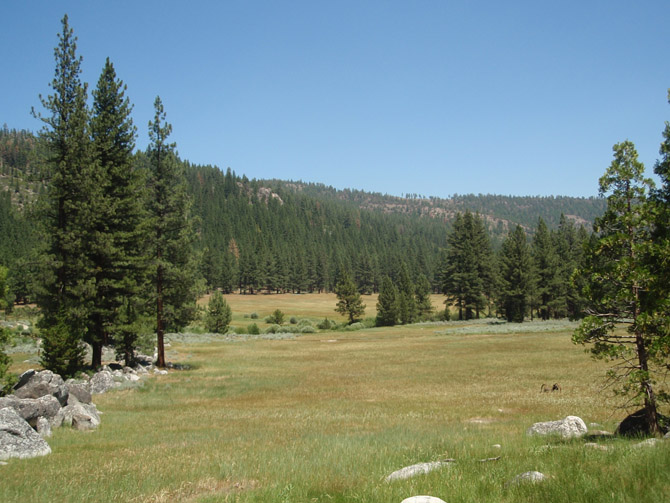 C-Yosemite&around64