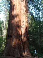C-Yosemite&around05