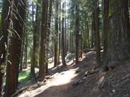 C-Yosemite&around20