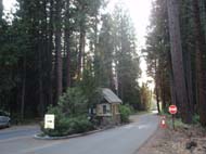 C-Yosemite&around40