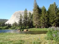 C-Yosemite&around53