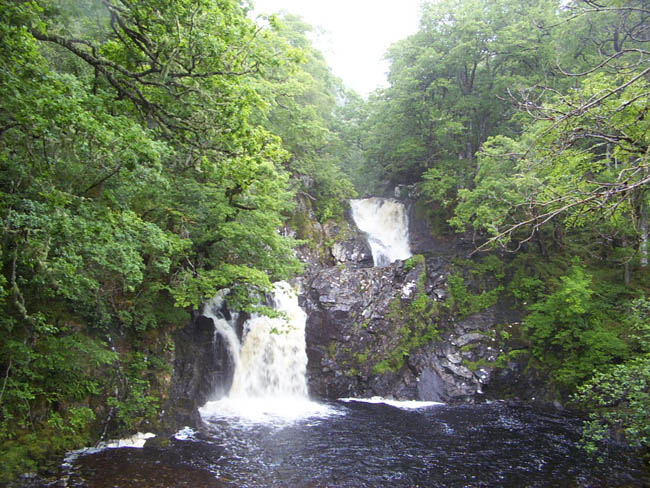 D-Glencoe11