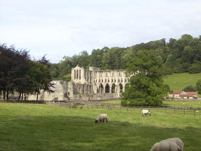 J-York-04RiveauxAbbey19